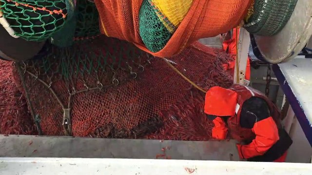 2 oct- topo, bilan, saison de pêches