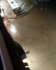 Maltempo, alluvione a Ventimiglia: l'autobus intrappolato dall'acqua in centro