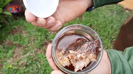 mqn-Miel Orgánica de zona Brunca es motor económico en Puntarenas-021020