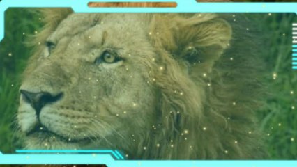 10 amazing fact which are really false but we believe its true