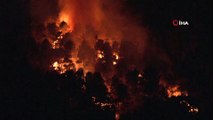 Aydos Ormanı'nda yangın... Olay yerine çok sayıda itfaiye ekibi sevk edildi