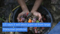 US says it will block palm oil from large Malaysian producer, and other top stories in business from October 03, 2020.