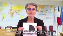 Rapport d'information sur les enfants sans identité - Vidéo de présentation - Vendredi 2 octobre 2020