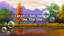 Latin - Son Habana - Cha Cha Cha | Music Collection