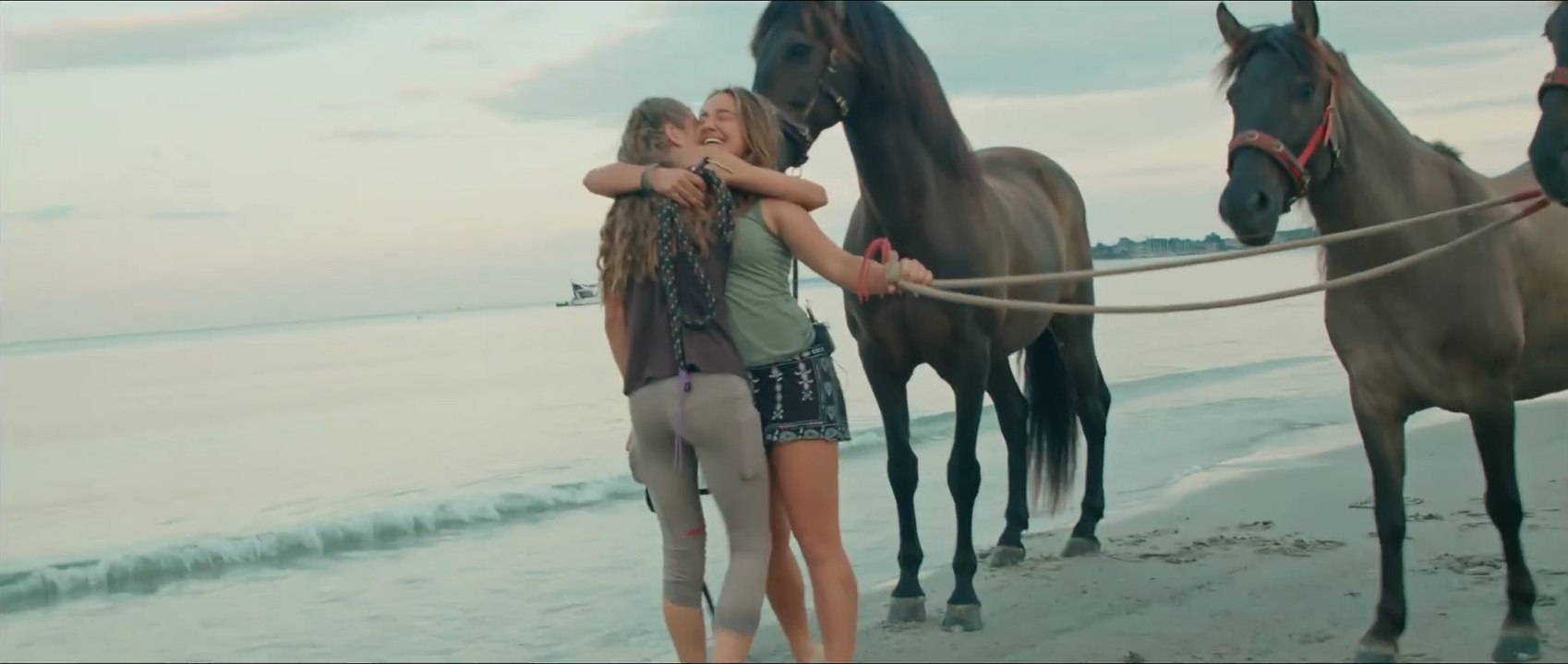 Wildherz Film