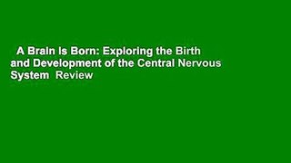 A Brain Is Born: Exploring the Birth and Development of the Central Nervous System  Review