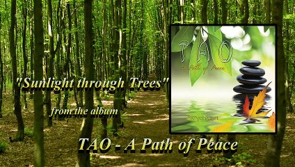 Wychazel - TAO-A Path of Peace - Sunlight through Trees