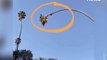 Man Cuts Palm Tree while sitting on the tree. Video leaves twitter stunned