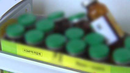 '정부조달 독감백신' 접종자 2,303명..하루새 13명 증가 / YTN