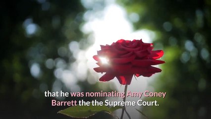 Chris Wallace and Other Fox News Figures Who Attended The Presidential