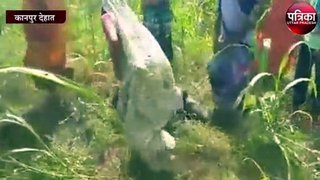 इस हाल में मिली लापता किशोरी, एक सप्ताह से थी लापता