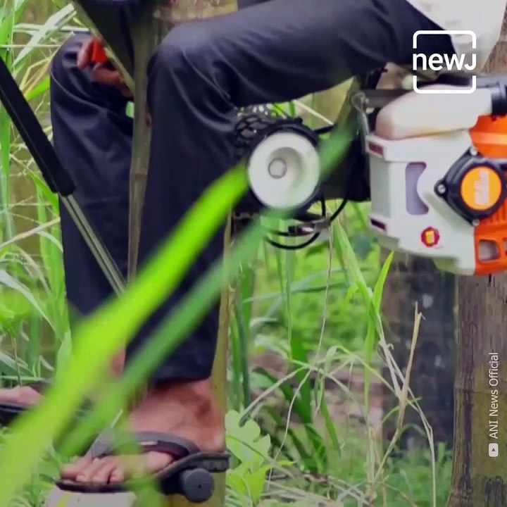 Indian Jugaad! Karnataka's Ganapathi Bhat Develops ‘Bike’ To Help Climb Areca Nut Trees