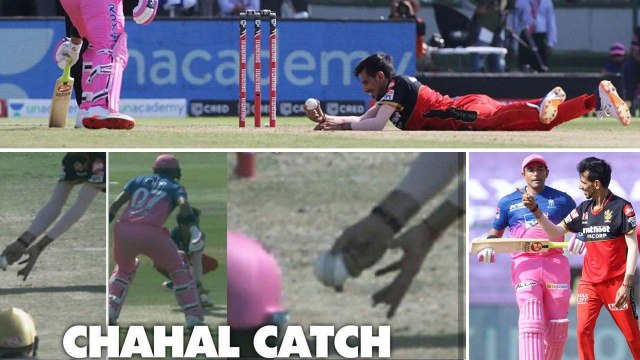 IPL 2020, RR VS RCB : Sanju Samson Out or Not Out? Irked Fans Show Their Displeasure || Oneindia