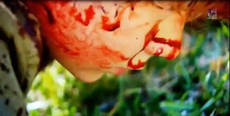 Agressions animales épisode 7