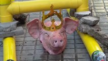 Los CDR colocan en Barcelona una guillotina de cartón con una cabeza de cerdo y una foto del rey