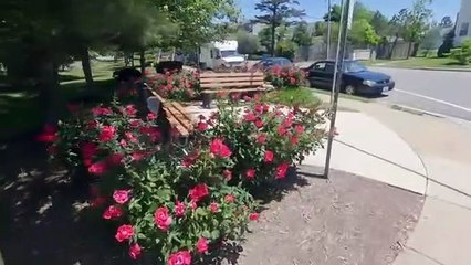 আমেরিকায় বাঙ্গালীরা কেমন বাড়িতে বাস করেন  !      American Houses to Live  # AzadTechWorldPro   #