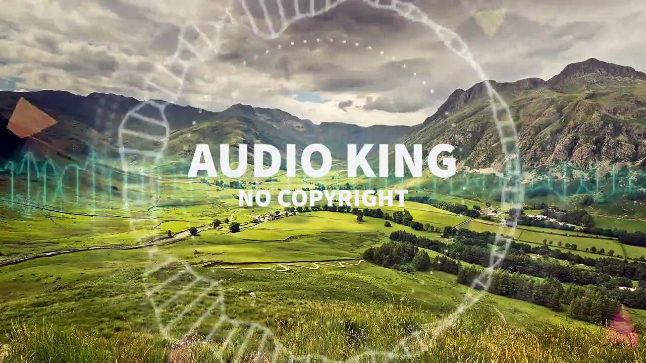 tubebackr -The Valley |Audio King|