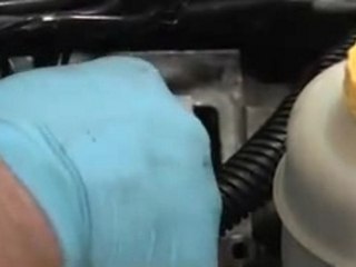 Dynomite Diesel Performance: BOSCH P7100 Fuel Plate 12 Valve