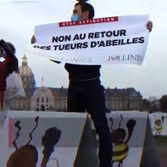 Nicolas Hulot : "Réautoriser les néonicotinoïdes n'est pas la solution"
