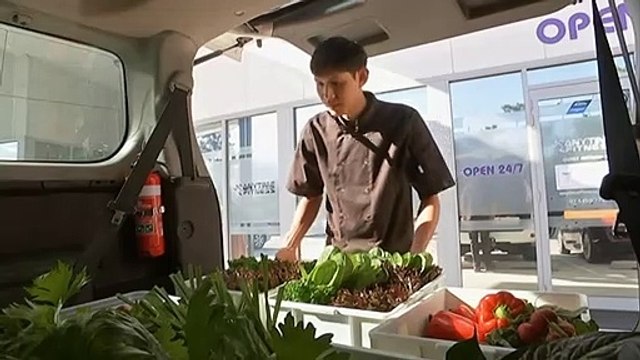 Fish and chip store owner builds organic aquaponics farm