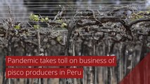 Pandemic takes toll on business of pisco producers in Peru, and other top stories in international news from October 04, 2020.