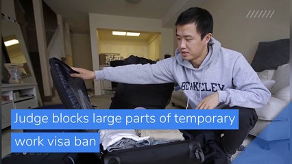 Judge blocks large parts of temporary work visa ban, and other top stories in business from October 04, 2020.