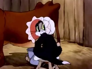 Tom And Jerry Fine Feathered Friend