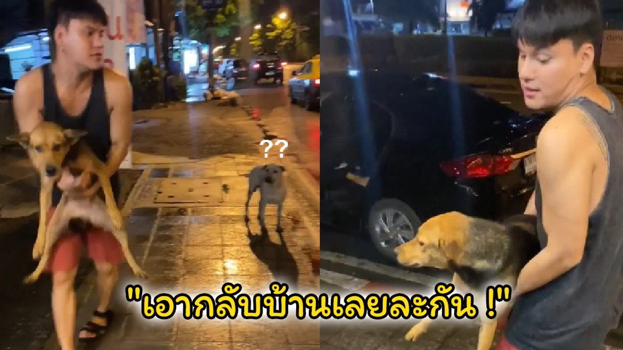 โอ๊ย ทั้งขำทั้งเอ็นดู  หนุ่มเมาหนัก อุ้มหมาร้านหมูกระทะกลับบ้าน ตื่นมางงมาก มาได้ไง !!?