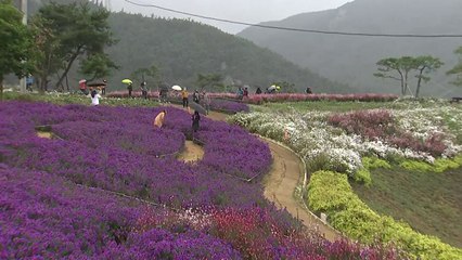 긴 연휴 마지막 날..."탁 트인 공원서 '거리 두기'" / YTN