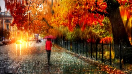 Речення | УКРАЇНСЬКА МОВА 8 КЛАС