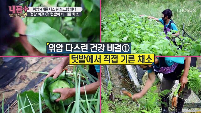 위암 4기를 극복한 할머니의 건강 비결✌ #광고포함