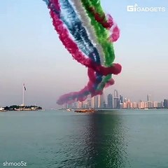 SUPERBE, Belle présentation..