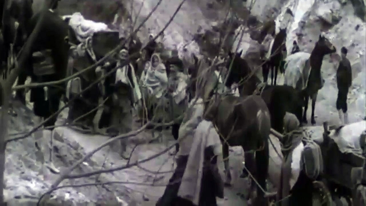 Nevesinjska puska - 2 deo
