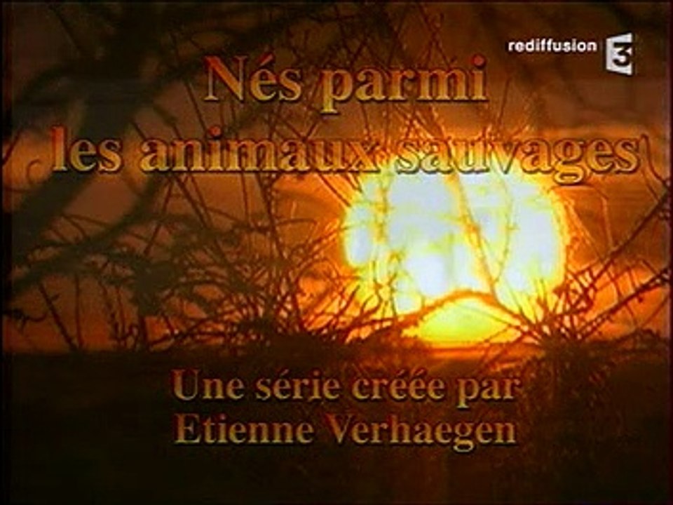 épisode 05