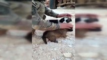 MSB, Mehmetçiğin beslediği köpek yavrusunu sevdiği anların yer aldığı bir video paylaştı - ANKARA