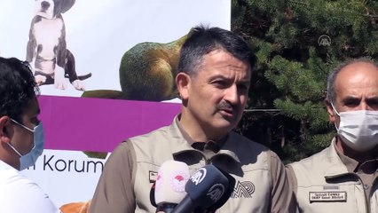 Pakdemirli: 'Hayvanlarımızı korumaya, onlara daha çok özen göstermeye dikkat çekmek istiyoruz' - ANKARA