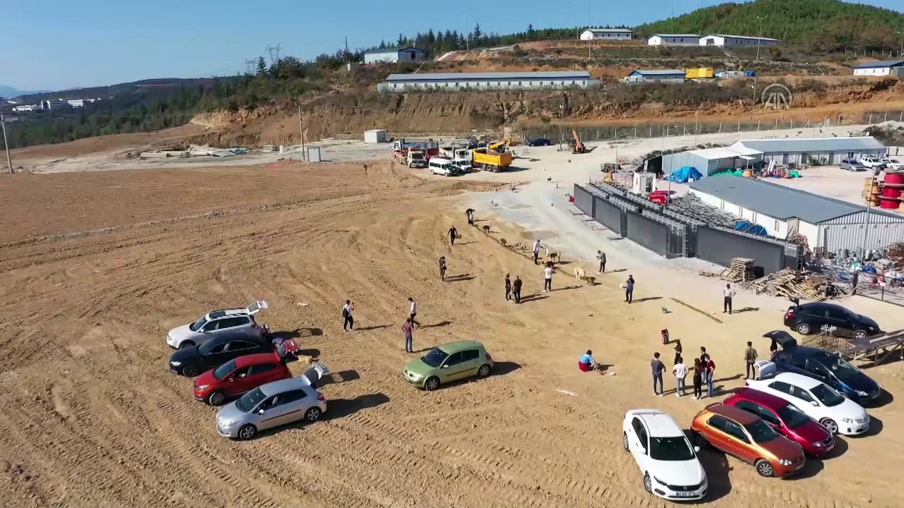 Sokak hayvanlarına mama bırakıldı - KOCAELİ