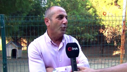 Covid 19 evcil hayvanları evsiz bıraktı