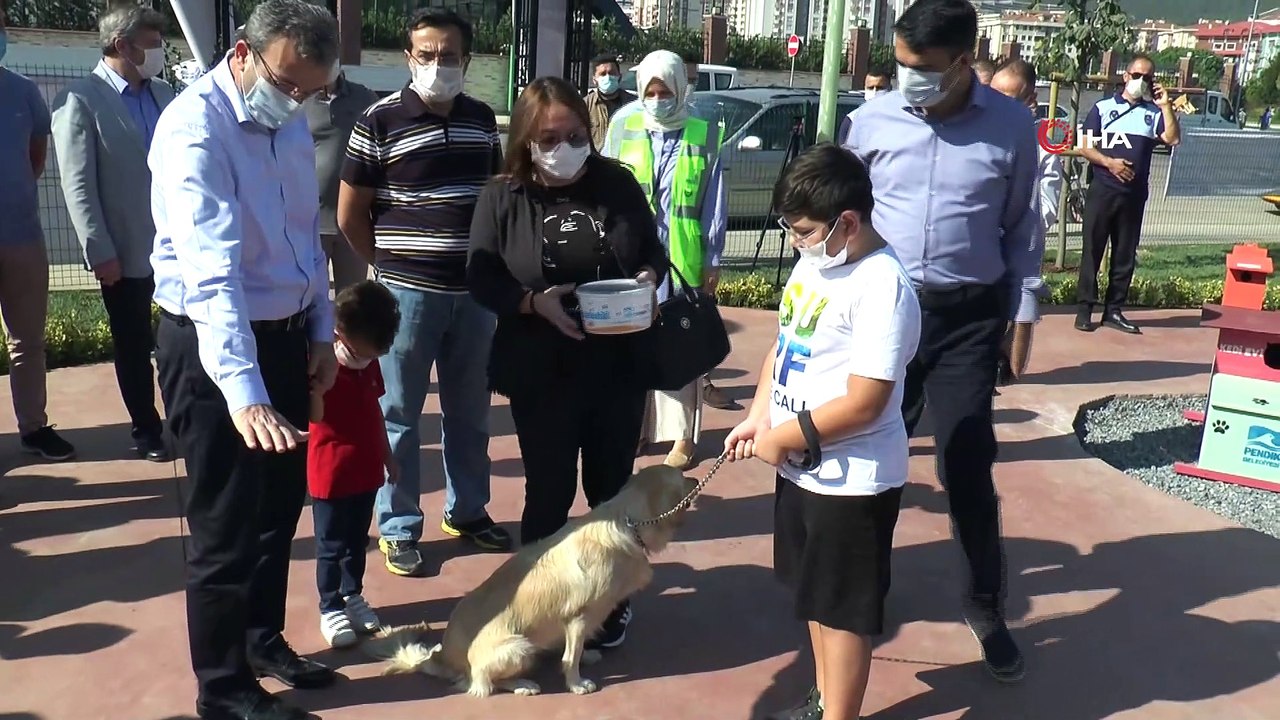 Hayvanları Koruma Gününde Pendik'te Neşeli Patiler Köpek Eğitim Parkı  açıldı - Dailymotion Video