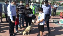 Hayvanları Koruma Gününde Pendik’te Neşeli Patiler Köpek Eğitim Parkı açıldı