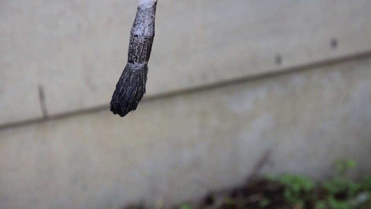 numéro 51