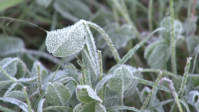 [날씨] 연휴 끝나자 가을 추위 성큼...산간 서리·첫얼음 / YTN