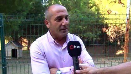 Covid-19 evcil hayvanları evsiz bıraktı