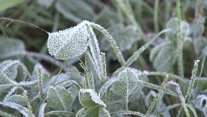 [날씨] 연휴 끝나자 가을 추위 성큼...산간 서리·첫얼음 / YTN