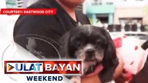 Kauna-unahang drive-thru pet blessing, isinagawa ngayong World Animal Day