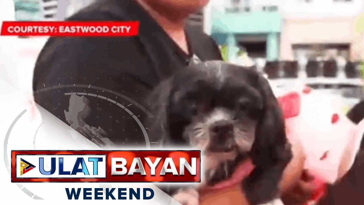 Kauna-unahang drive-thru pet blessing, isinagaw...