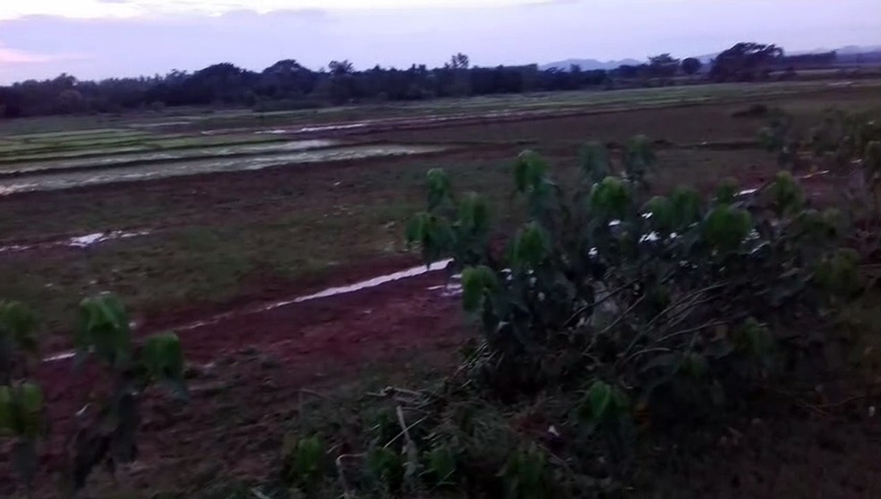 no copyright video||Copyright free video clip||evening natural sight video clips-2020