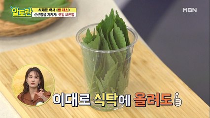 ※커피마시면서보세요※ 아주 쉬운 [깻잎] 신선 보관법!