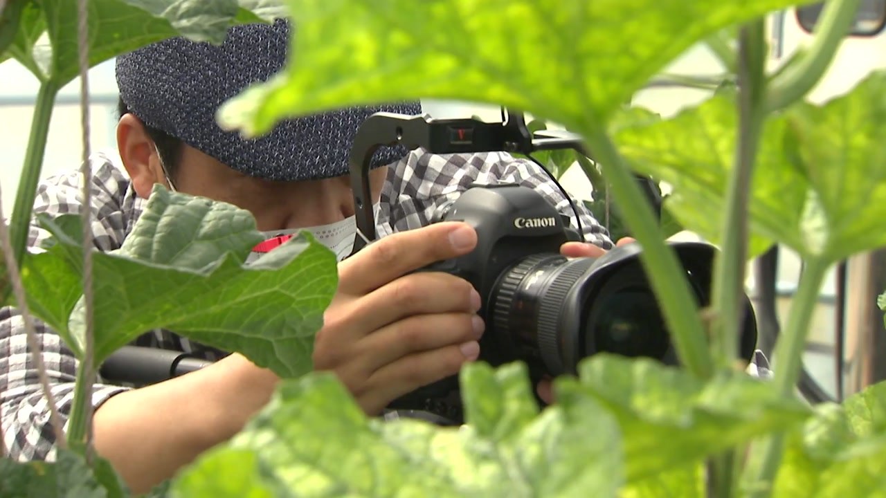 비대면 시대, 농업 교육도 온라인으로 / YTN
