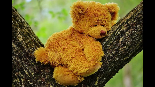 English Synonyms and Antonyms, Section 57: Sacrament to Self-Abnegation